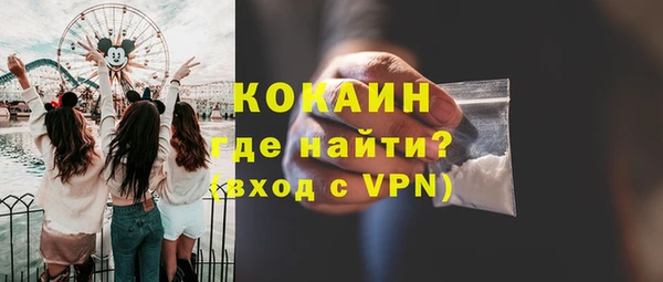 ПСИЛОЦИБИНОВЫЕ ГРИБЫ Вязники