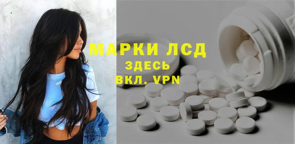 ПСИЛОЦИБИНОВЫЕ ГРИБЫ Вязники