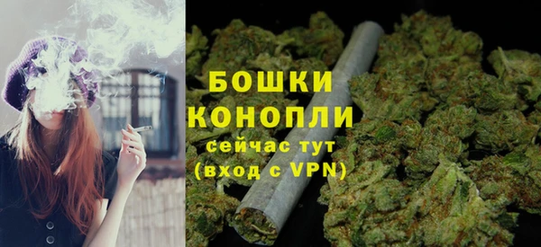 ПСИЛОЦИБИНОВЫЕ ГРИБЫ Вязники