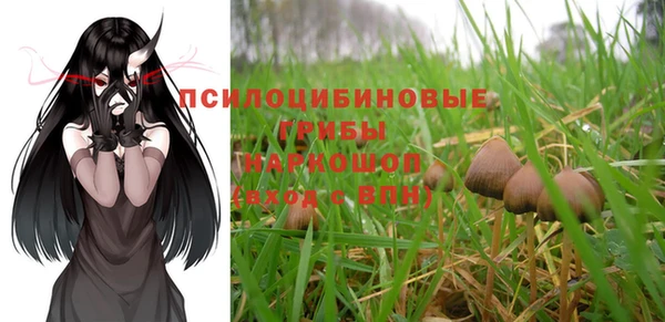 ПСИЛОЦИБИНОВЫЕ ГРИБЫ Вязники