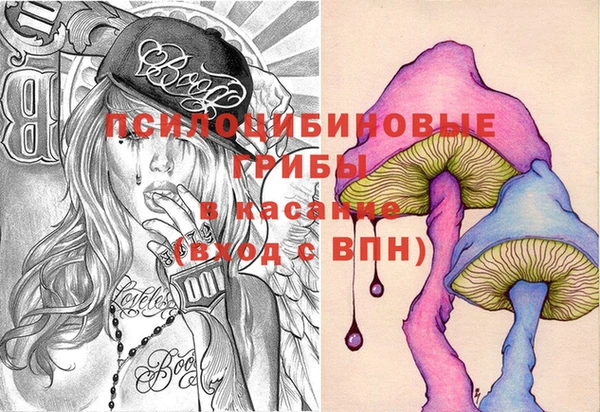 ПСИЛОЦИБИНОВЫЕ ГРИБЫ Вязники
