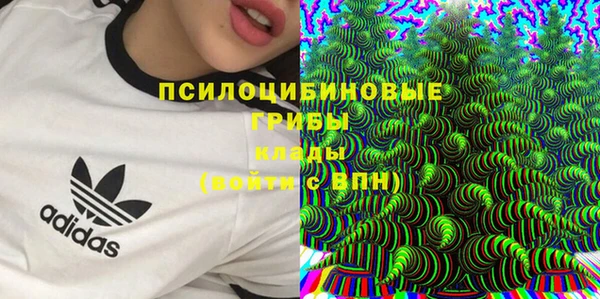 MESCALINE Вяземский