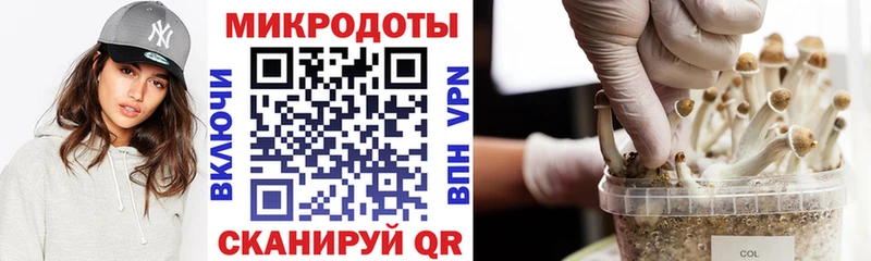 KRAKEN маркетплейс Зерноград Галлюциногенные грибы мухоморы